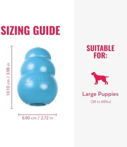 A puppy lying with its KONG toy