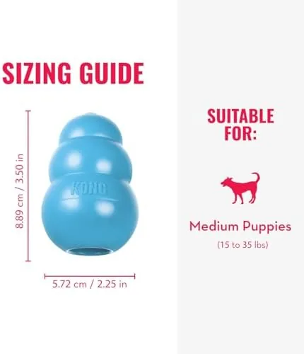 A medium dog carrying its KONG