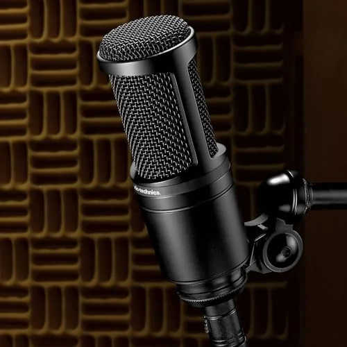 Recording software showing a clean vocal track captured by the AT2020