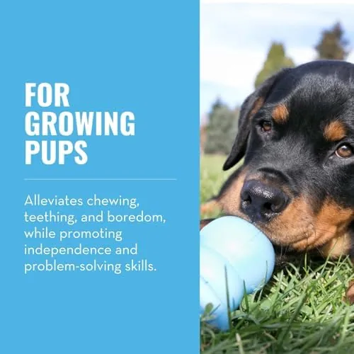 Close up of the raised knobs on the KONG Puppy Binkie chewing head