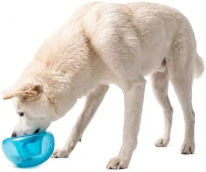 Outward Hound Snoop Review: A Puzzle Ball That Slows Dinner Down