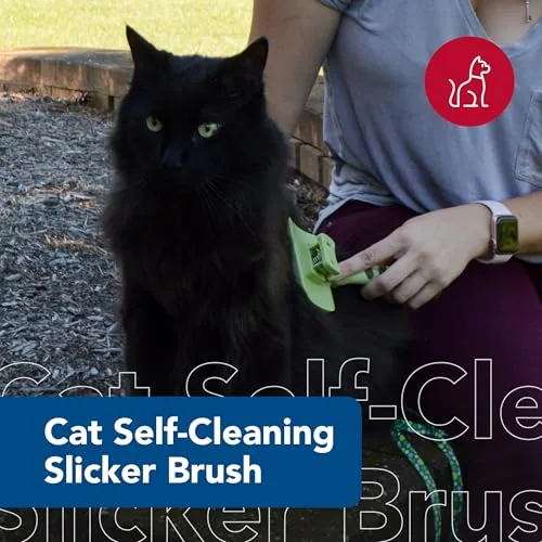 Pressing the eject button on the Safari brush handle