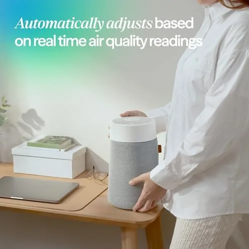 Comparison of the Mini Max with a larger room purifier