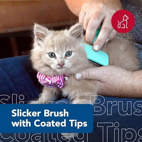 A close up of the coated bristle tips on the kitten brush