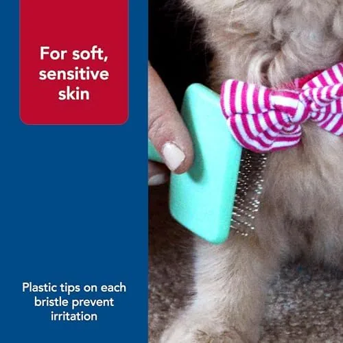 The kitten brush next to a full-size cat slicker brush