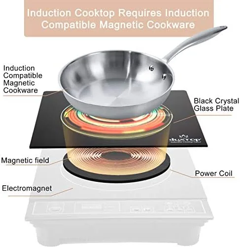 Testing the Duxtop 1800W Portable Induction Cooktop Countertop Burner, Gold 8100MC | BT-180G3 over two weeks