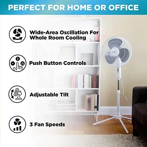 The pedestal fan running at night on the low speed in a dim bedroom