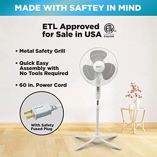 The pedestal fan next to a table fan and a box fan to compare sizes