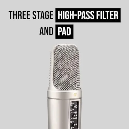 The Rode NT2-A Studio Solution Microphone, Silver, Wired, Singing in real use