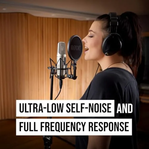 Testing the Rode NT2-A Studio Solution Microphone, Silver, Wired, Singing over two weeks