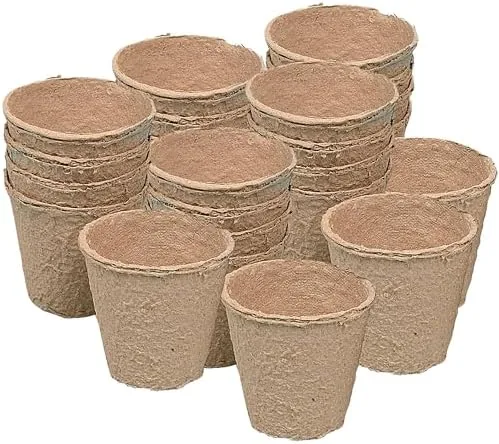 Fun Express DIY Seed Pots Craft Kit for Kids - Creative Gardening Activity Educational Review: Tested and Rated