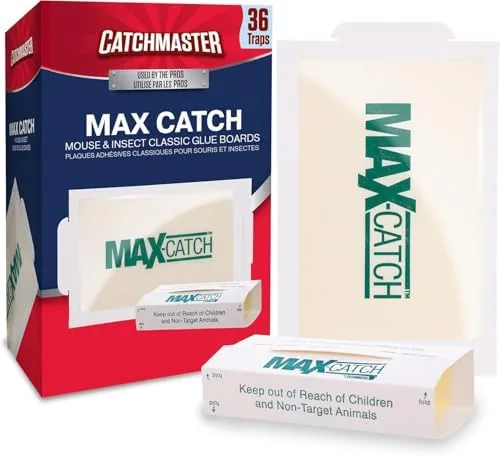 Catchmaster Max-Catch Glue Traps 36pk, Sticky Mouse Traps Indoor for Home | Bulk glue Review: Tested and Rated