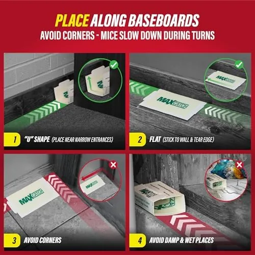 Another view of the Catchmaster Max-Catch Glue Traps 36pk, Sticky Mouse Traps Indoor for