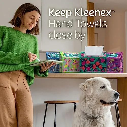 A family kitchen sink with a Kleenex towel box within easy reach