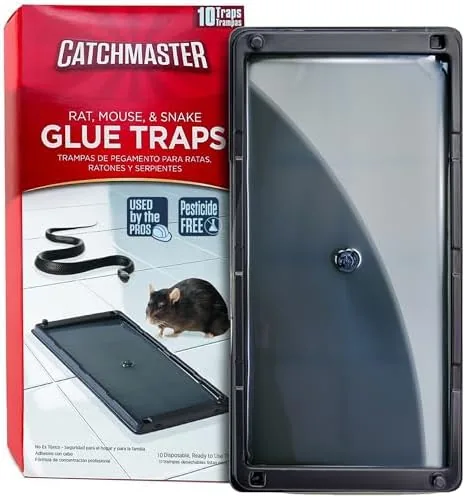 Catchmaster Rat, Snake and Mouse Traps 10Pk, Large Bulk Glue Rat Traps for Home Review: Tested and Rated