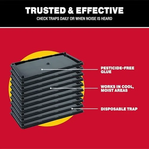 Another view of the Catchmaster Rat, Snake and Mouse Traps 10Pk, Large Bulk Glue