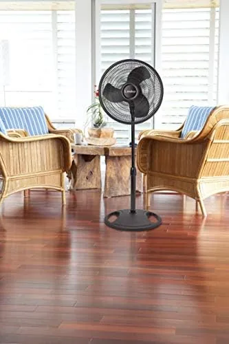 The fan head tilted back to aim the breeze at a bed