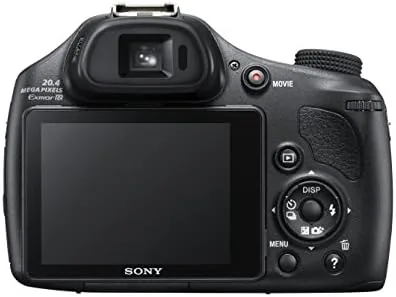 The HX400V beside a pocket superzoom and a DSLR with a long lens for scale