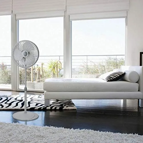 The Lasko 2526 beside a box fan and a slim tower fan