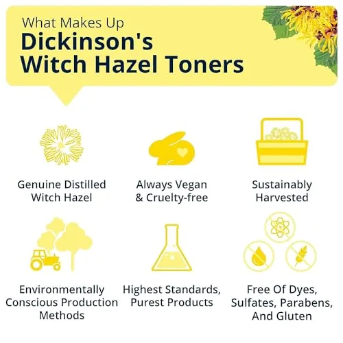 The Dickinson's Witch Hazel Hydrating Toner with Rosewater | 16 Fl compared in context