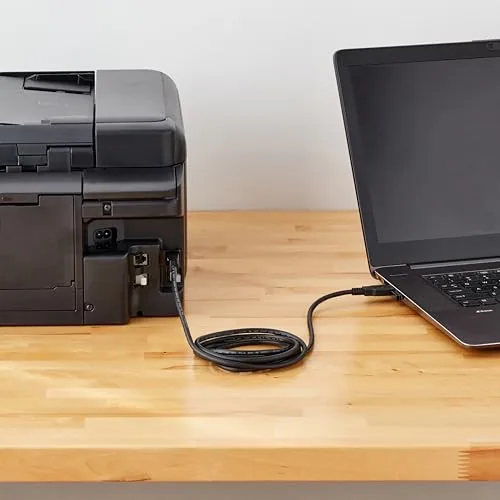 Testing the Amazon Basics USB 2.0 Cable, USB-A to USB-B, for Printer over two weeks