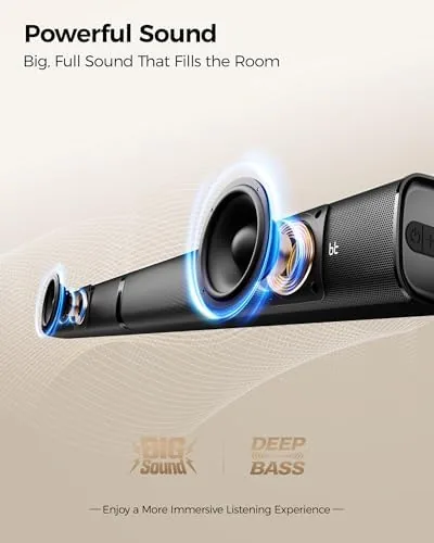 The two wireless karaoke microphones beside the soundbar