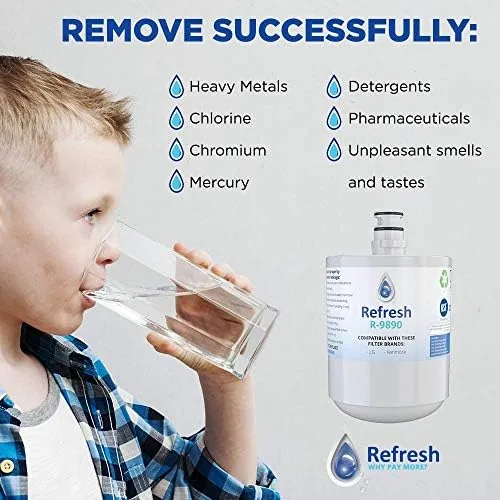 Refresh filter installed in the refrigerator filter slot