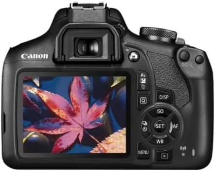 Detail shot of the Canon EOS Rebel T7 DSLR Camera Double Zoom Lens Kit features