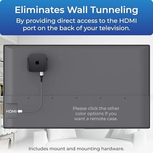 Mount and Apple TV installed on the back of a wall mounted television