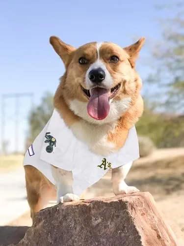 Another view of the Official MLB Oakland Athletics Pet Jersey for Dogs & Cats