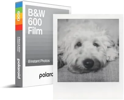 Test setup with a 600 camera, film pack, and a notebook of results