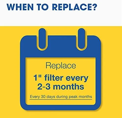 A comparison of a fresh Aerostar filter and the used filter removed after three months