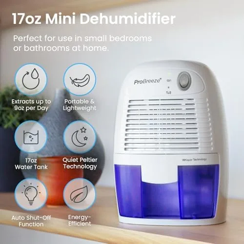 The dehumidifier beside a damp closet in a small storage room