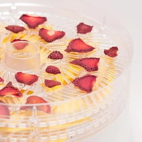 Close look at the Commercial Chef Food Dehydrator, Five 9.25" BPA-Free Trays, CCD100W6, White build quality
