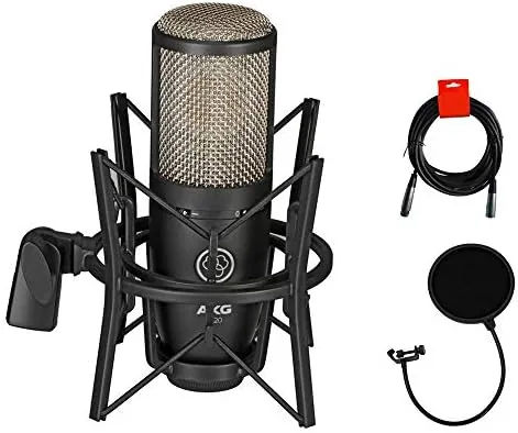 AKG Project Studio P220 Large Diaphragm Condenser Microphone With Pop Filter and XLR To Review: Tested and Rated