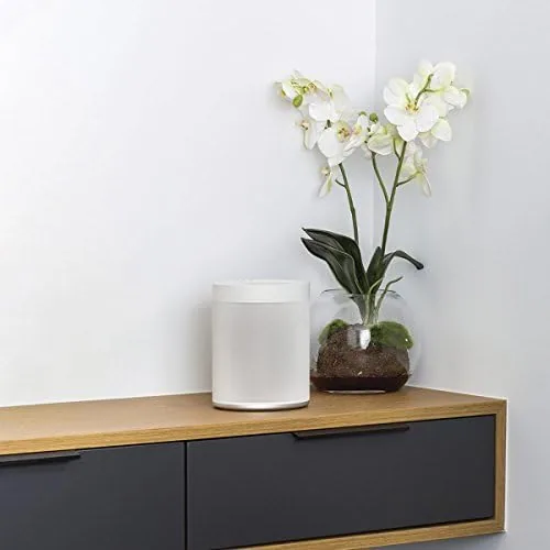 Testing the YAMAHA WX-021 MusicCast 20 Wireless Speaker, Alexa Voice Control, White over two weeks