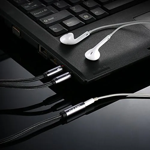 The splitter plugged into the separate headphone and microphone jacks of a PC tower