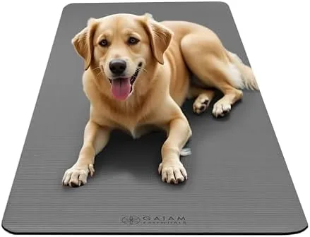 Testing the Gaiam Thick Yoga Mat, Exercise & Fitness Mat with Easy-Cinch over two weeks