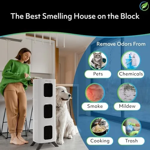 The Air Oasis iAdaptAir 2.0 H13 HEPA Filter Air Purifier Reduces in real use