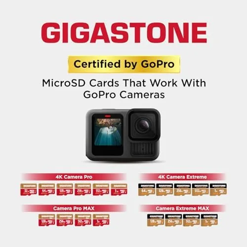 The 【5-Years Data Recovery】 GIGASTONE 256GB Micro SD Card, 4K Camera compared in context