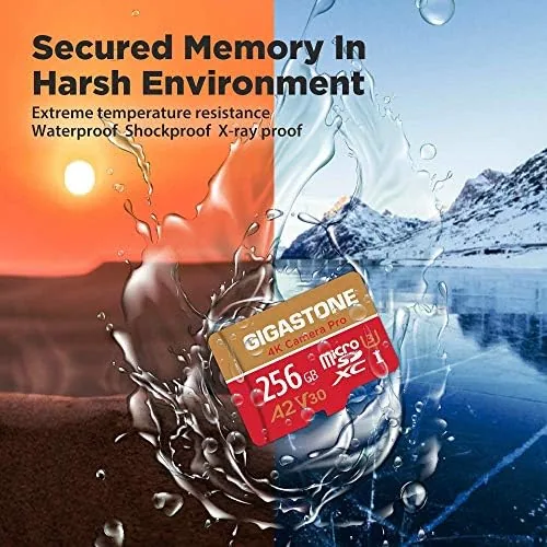 Testing the 【5-Years Data Recovery】 GIGASTONE 256GB Micro SD Card, 4K Camera over two weeks