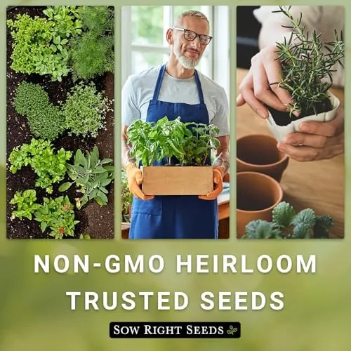 The Sow Right Seeds- Common Chives Seeds for Planting Your Own compared in context