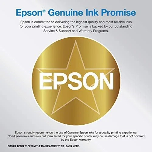 A close view of the Epson EcoTank ink reservoirs and refill bottles