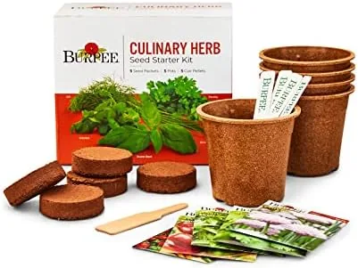 Burpee Culinary Garden Starter Kit Packets, 5 Pots, 5 Coir Pellets & 5 Plant Review: Tested and Rated