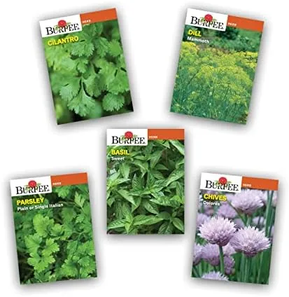 The Burpee Culinary Garden Starter Kit Packets, 5 Pots, 5 Coir in real use