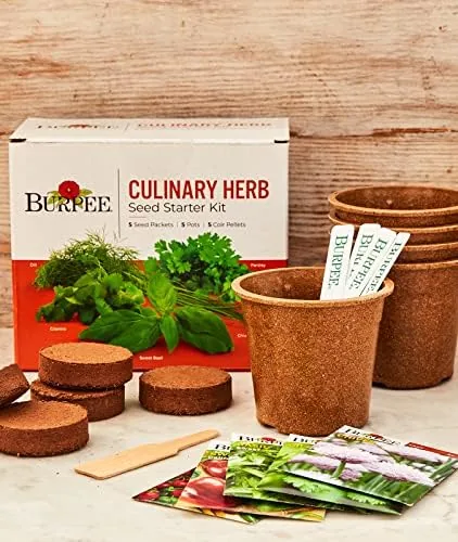 Another view of the Burpee Culinary Garden Starter Kit Packets, 5 Pots, 5 Coir