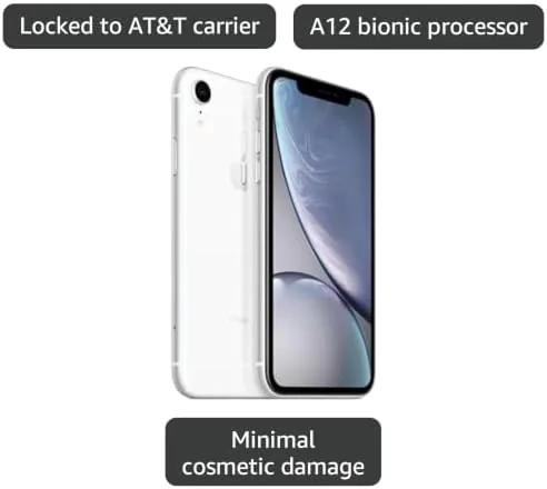 iPhone XR camera app open on a table showing photo options