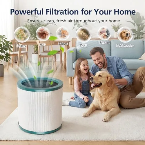 The 2 Pack TP01 Filter Replacement for Dyson Tower Purifier Pure compared in context
