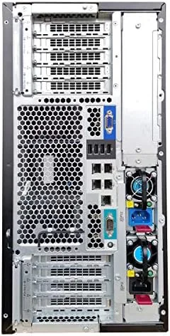 The server interior showing the processors, memory risers, and drive backplane