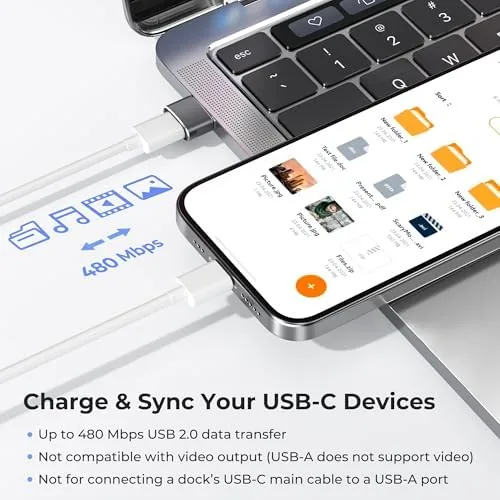 Adapter connecting a USB C earbuds case to a USB A charger